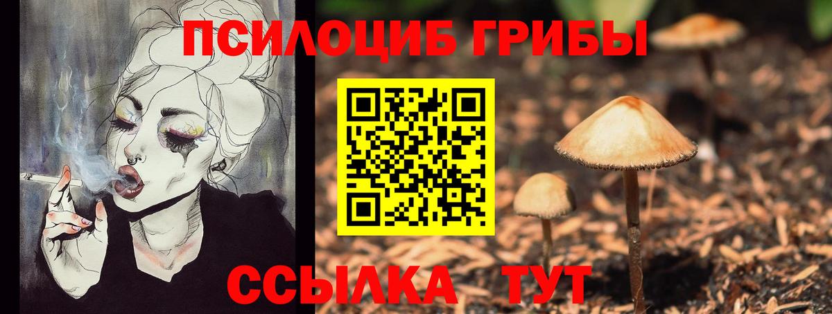 Галлюциногенные грибы Cubensis  Вход с VPN  Новоалександровск  Псилоцибиновые грибы ЛСД 