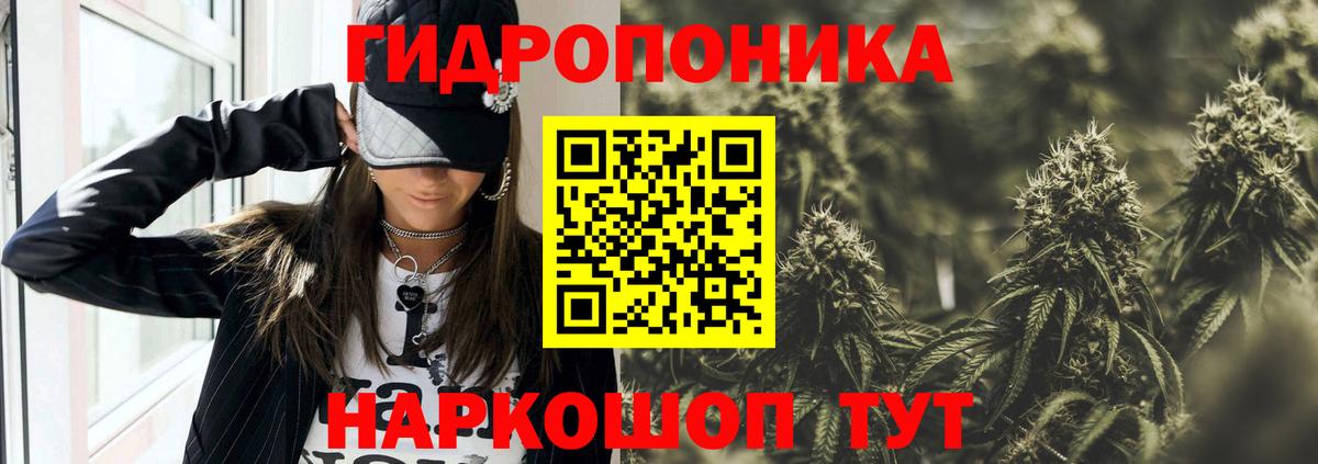 Шишки марихуана конопля  Конопля Bruce Banner  Канабис семена  Новоалександровск  Вход с VPN 